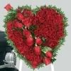 Hello Dear, : Sports Partner