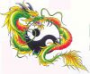 TAO DRAGONS MARTIAL ARTS : Sports Partner